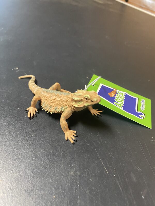 #TerryTime Bearded Dragon - Image 2